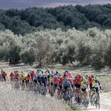 El pelotón de la Clásica Jaén Paraíso Interior. (c) Sprint Cycling
