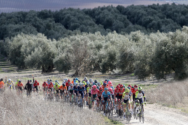 El pelotón de la Clásica Jaén Paraíso Interior. (c) Sprint Cycling