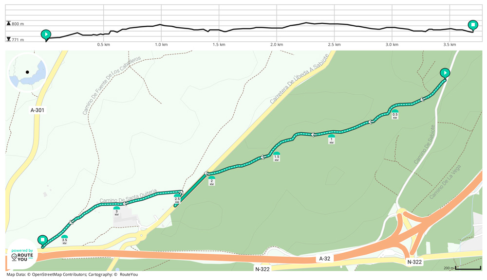 Detalle del Camino de Olivos de Juan Cavallo