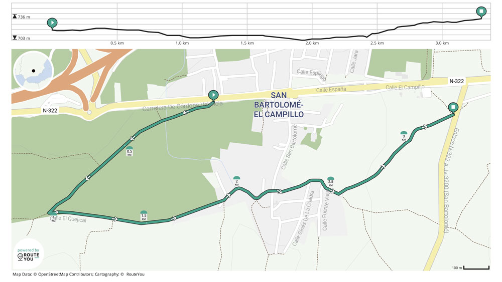 Detalle del Camino de Olivos de San Bartolomé